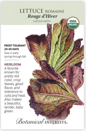 Organic Rouge d'Hiver Romaine Lettuce Seeds