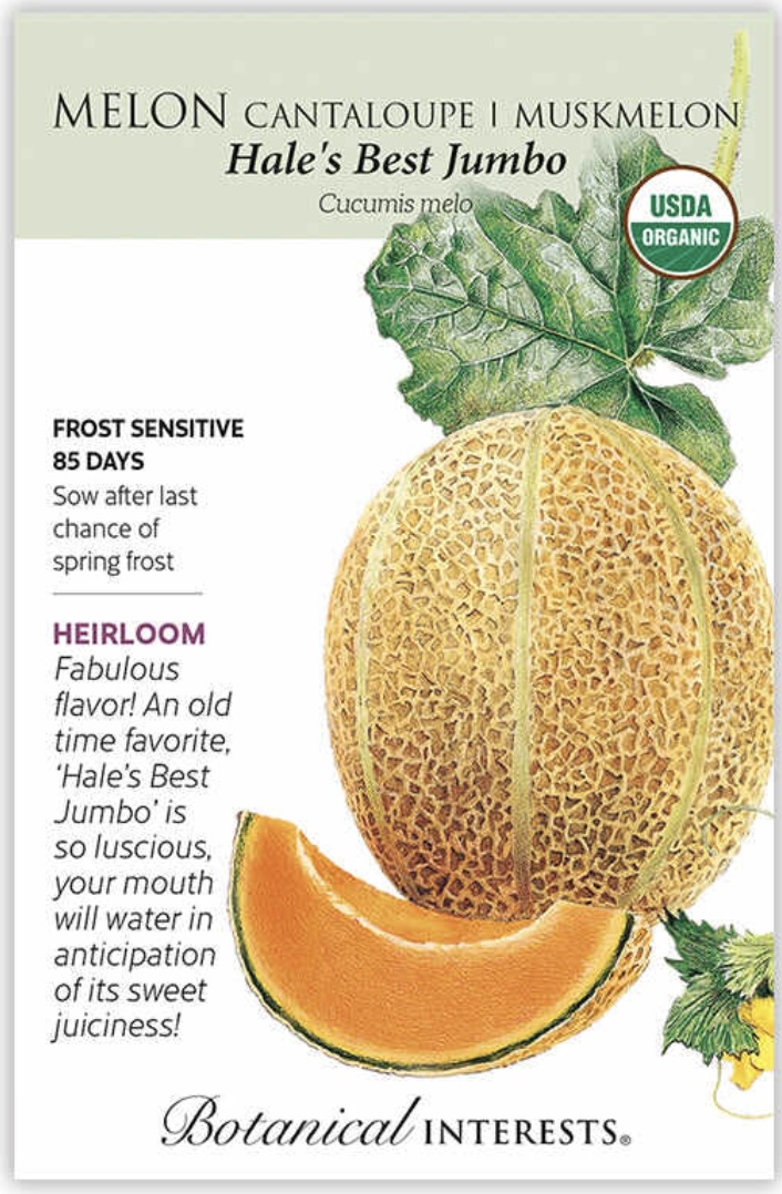Organic Hale's Best Jumbo Cantaloupe Seeds