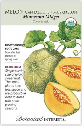 Organic Minnesota Midget Cantaloupe Seeds