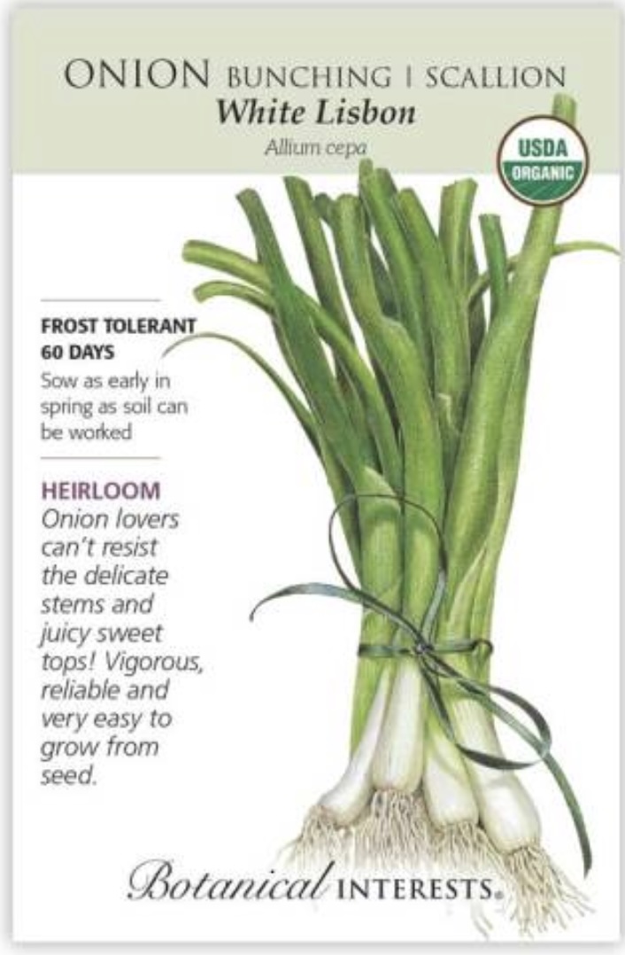 Organic White Lisbon Bunching Onion Seeds