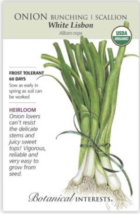 Organic White Lisbon Bunching Onion Seeds