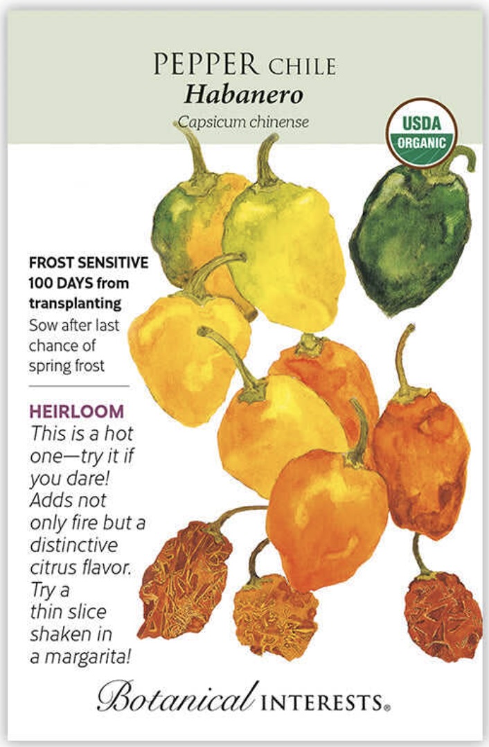 Organic Habanero Chile Pepper Seeds