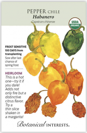 Organic Habanero Chile Pepper Seeds