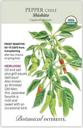 Organic Shishito Chile Pepper Seeds