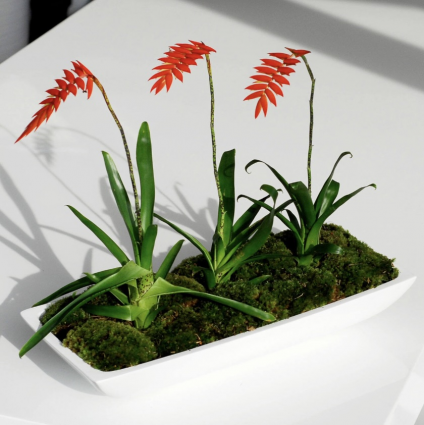 Pandora S Matte White Planter