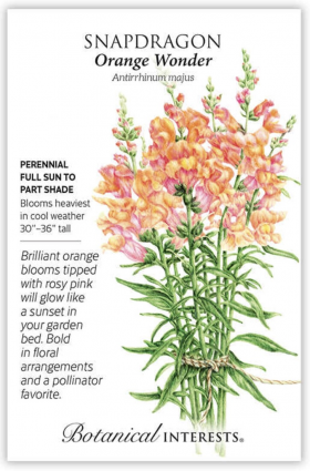 Orange Wonder Snapdragon Seeds