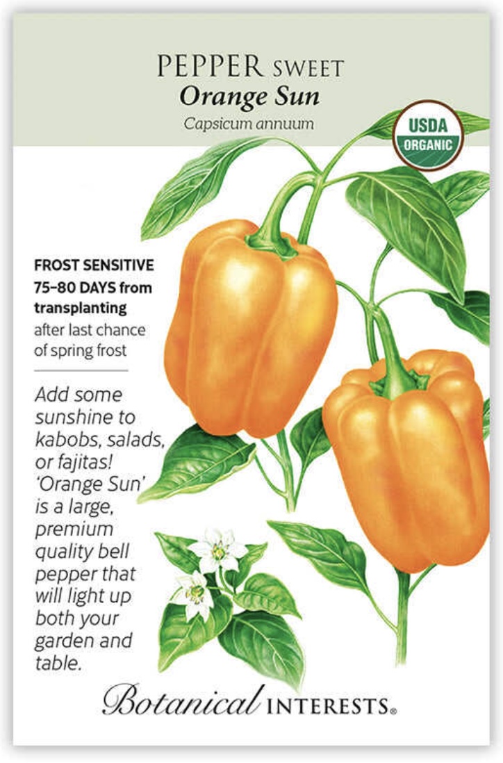Organic Orange Sun Sweet Pepper Seeds