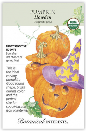 Organic Howden Pumpkin Seeds