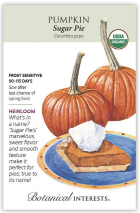 Organic Sugar Pie Pumpkin Seeds