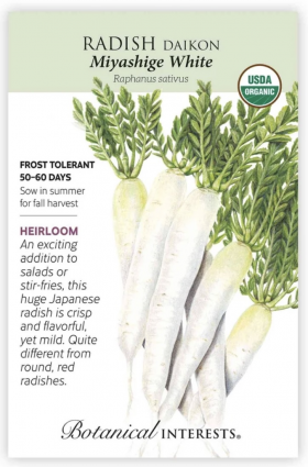 Organic Miyashige White Daikon Radish Seeds