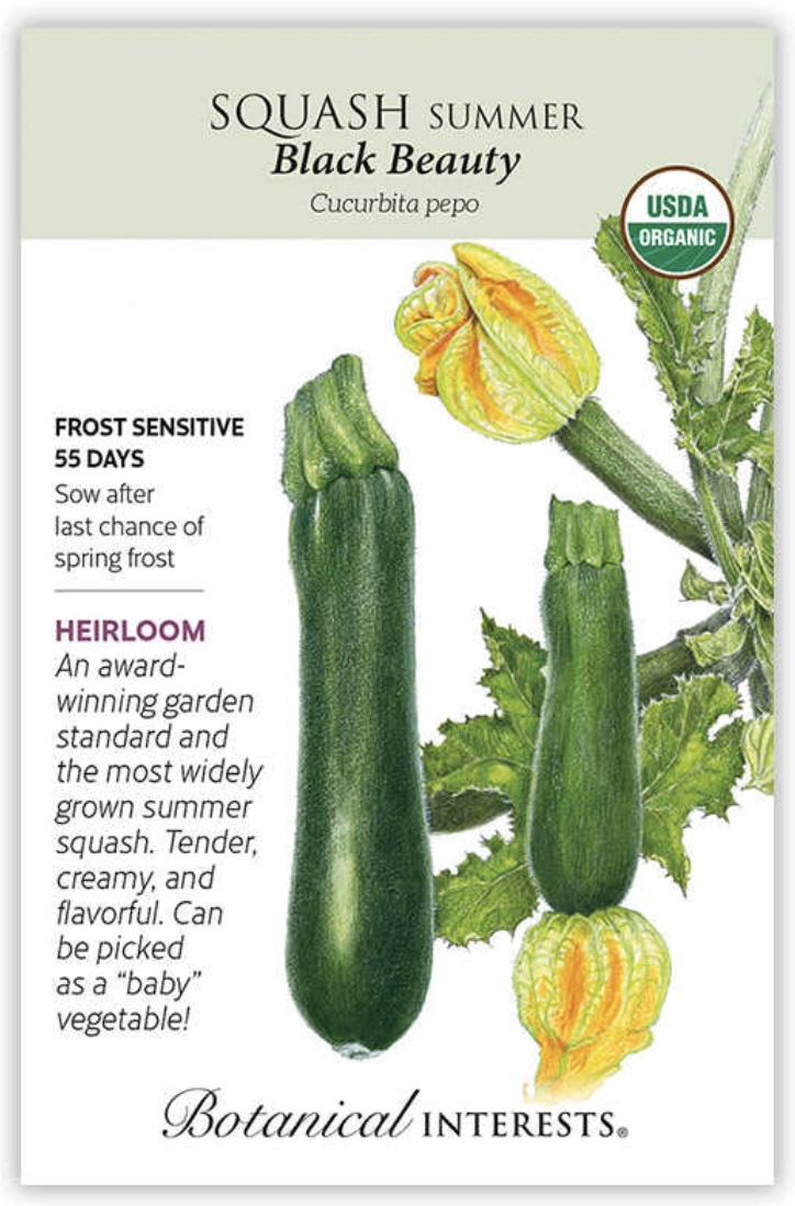 Organic Black Beauty Summer Squash Seeds