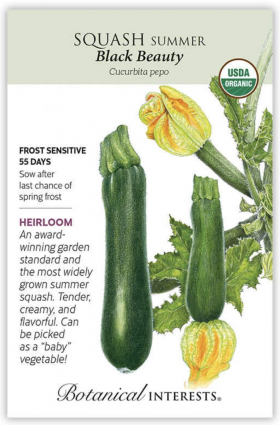 Organic Black Beauty Summer Squash Seeds