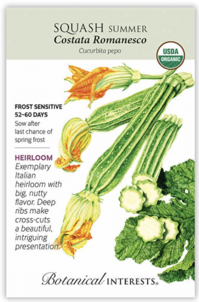 Organic Costata Romanesco Summer Squash Seeds