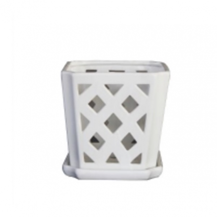 White Fremont Orchid Pot 7"