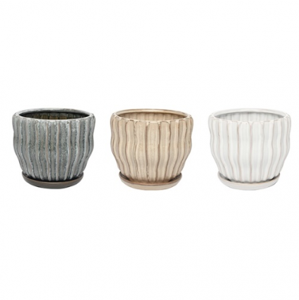 Lester Planter Assortment 6"