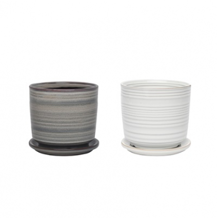 Ashwood Planter Assortment 6"