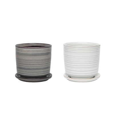 Ashwood Planter Assortment  4.5" 