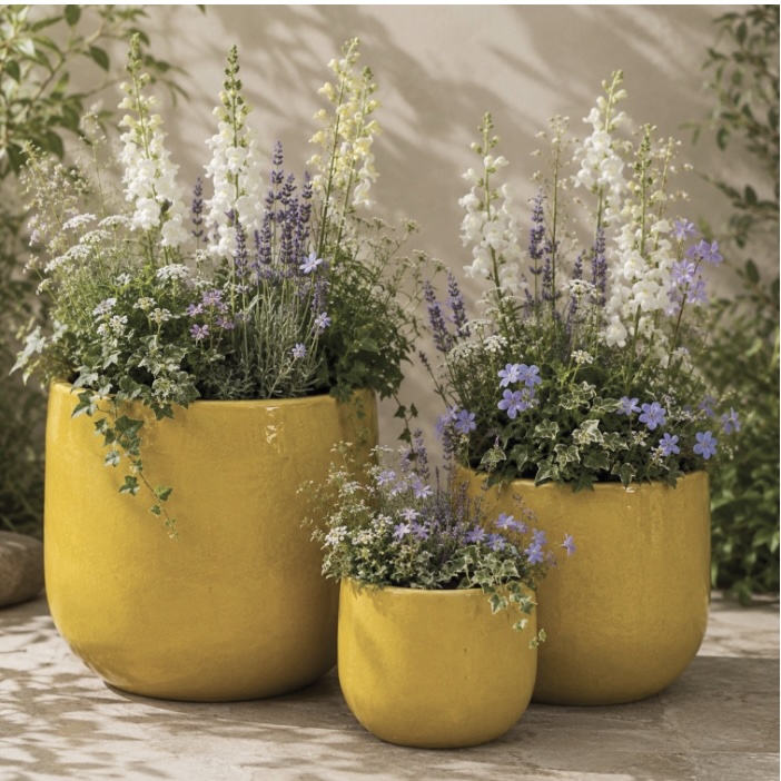 Sunshine Yellow Aries Pot 11.5"
