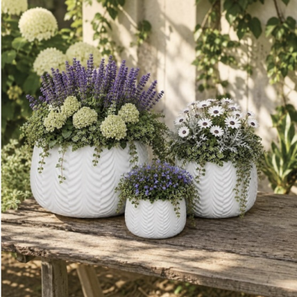 Cream White Zola Pot 11.4"