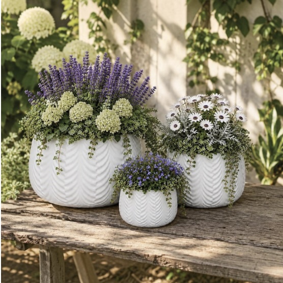 Cream White Zola Pot 7.5"