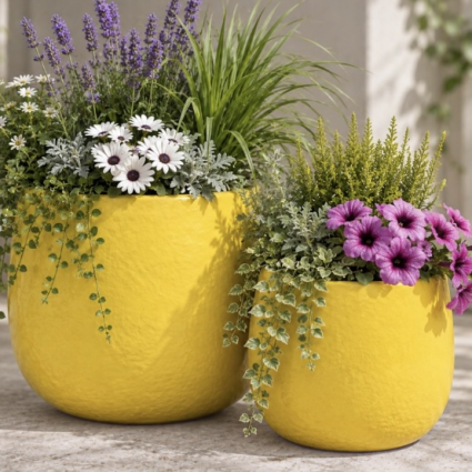 Atomic Yellow Samira Pot 13"