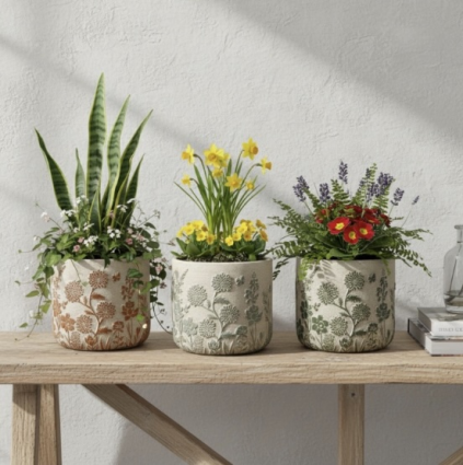 Rylee Planter with Drain Hole & Liner 5.5"