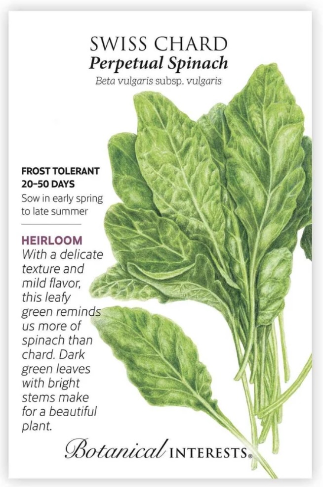 Perpetual Spinach Swiss Chard Seeds