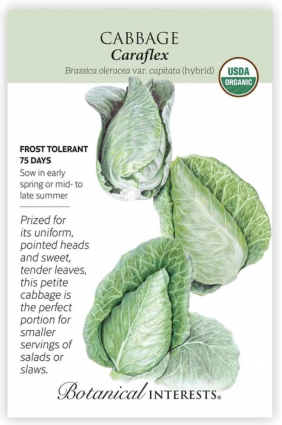 Organic Caraflex Cabbage Seeds