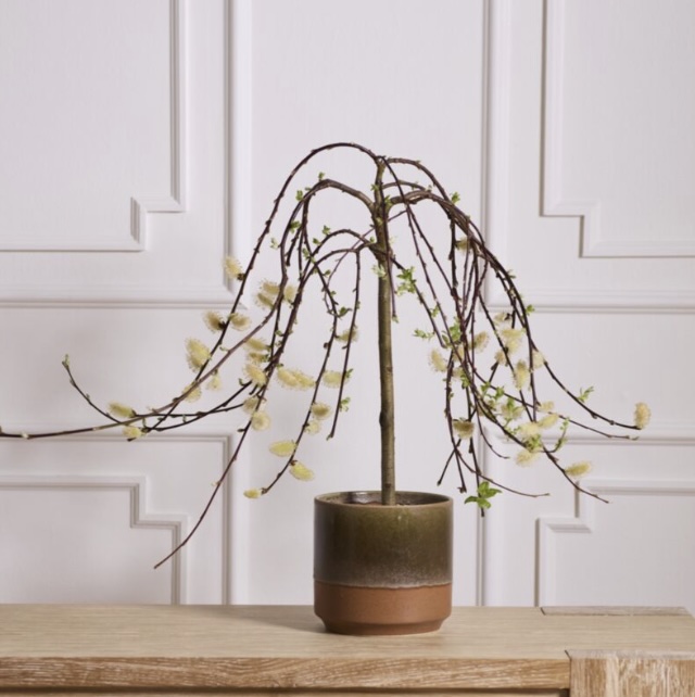 Bernie Brown and Green Ceramic Pot 6.25"