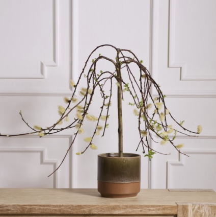 Bernie Brown and Green Ceramic Pot 6.25"