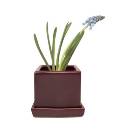 Scarlet Cube & Saucer Ceramic Pot 3"