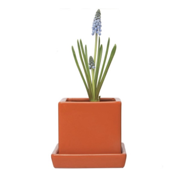 Yam Cube & Saucer Ceramic Pot 3"