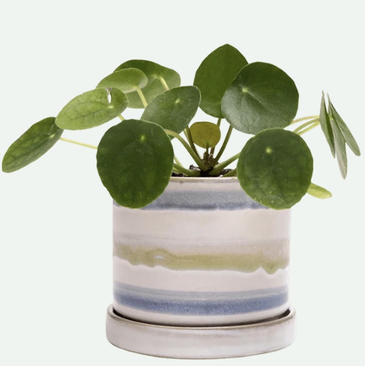 Blue Green Layers Minute Ceramic Pot 3"