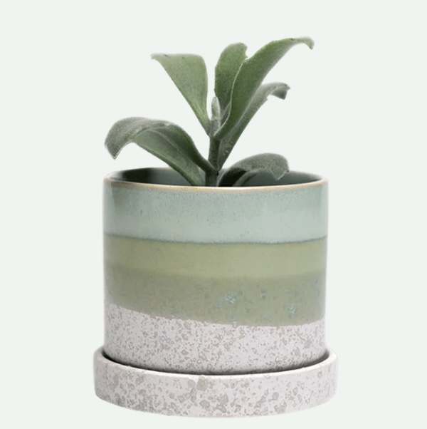 Green Cement Minute Ceramic Pot with Saucer 3"