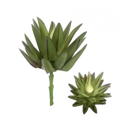Succulent Pick