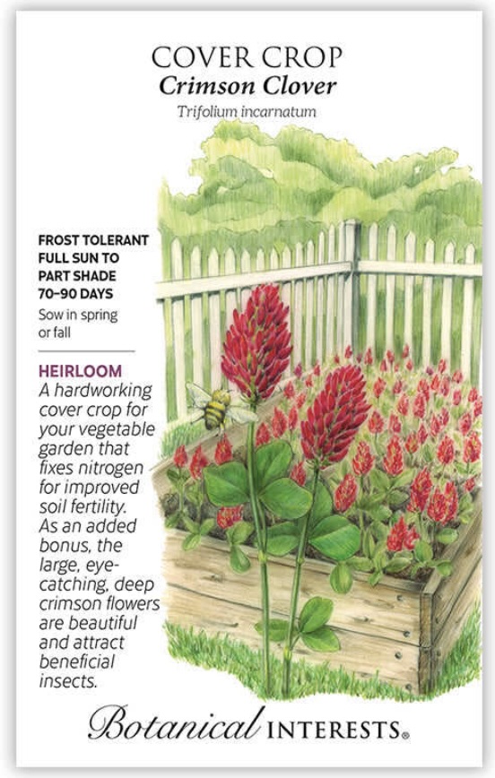 Crimson Clover Cover Crop Seeds