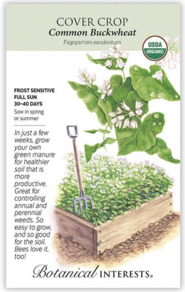 Common Buckwheat Cover Crop Seeds