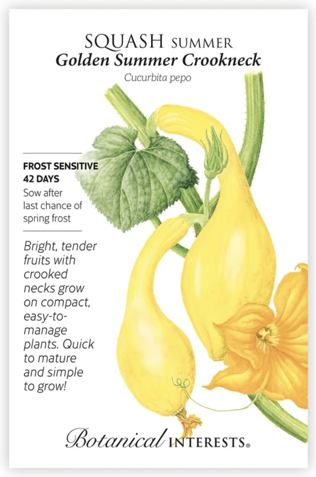 Golden Summer Crookneck Summer Squash Seeds