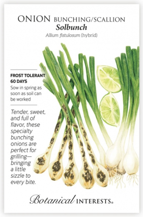 Solbunch Bunching/Scallion Onion Seeds