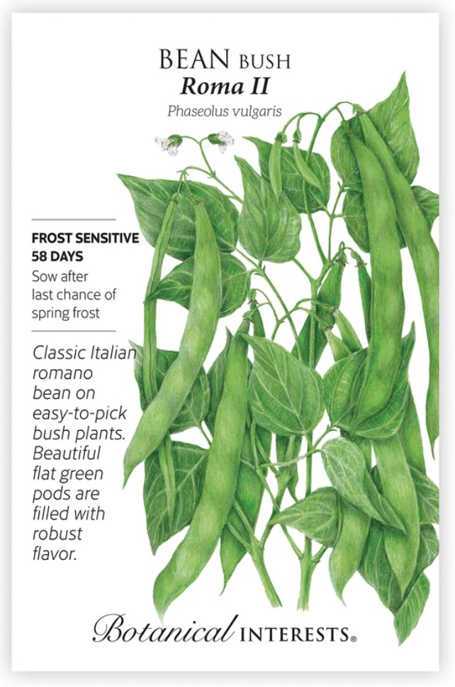 Roma II Bush Bean Seeds