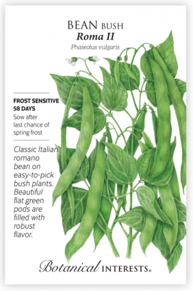 Roma II Bush Bean Seeds