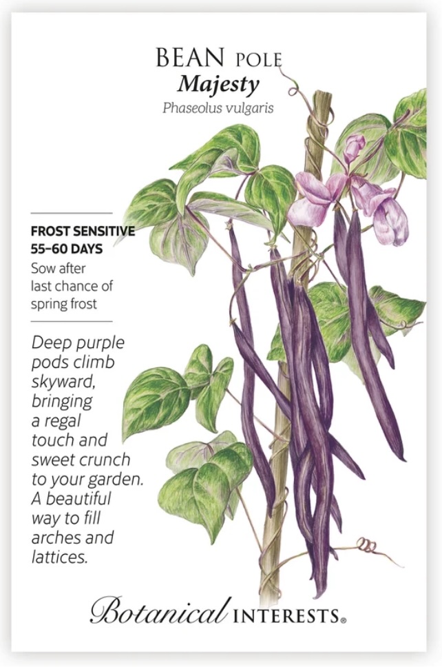 Majesty Pole Bean Seeds