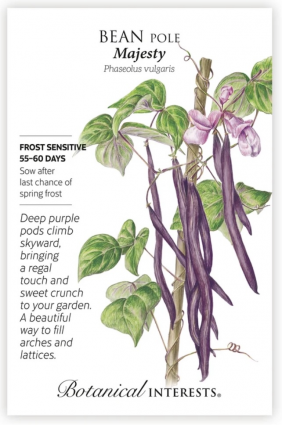 Majesty Pole Bean Seeds