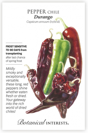 Durango Mirasol/Guajillo Chile Pepper Seeds hybrid