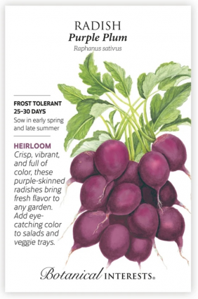 Purple Plum Radish Seeds