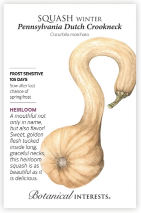 Pennsylvania Dutch Crookneck Winter Squash Seeds