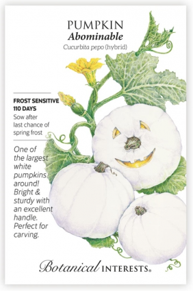 Abominable Pumpkin Seeds hybrid