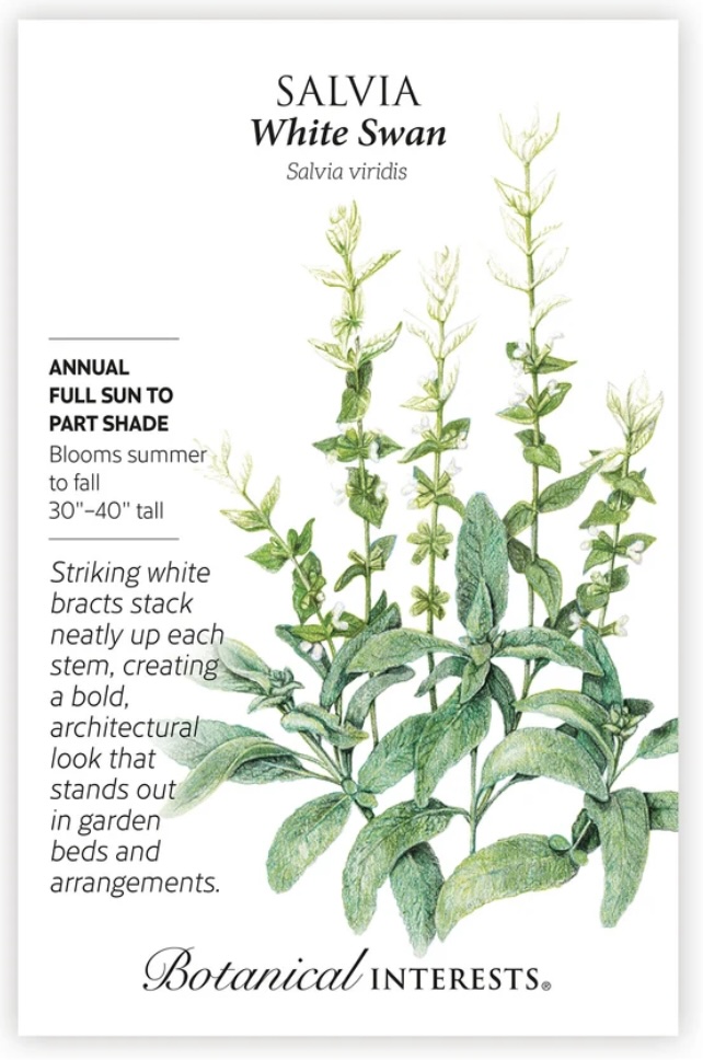 White Swan Clary Sage Salvia Seeds