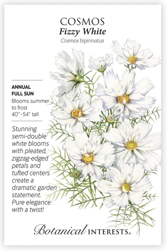 Fizzy White Cosmos Seeds
