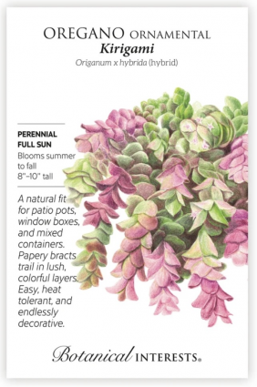 Kirigami Ornamental Oregano Seeds